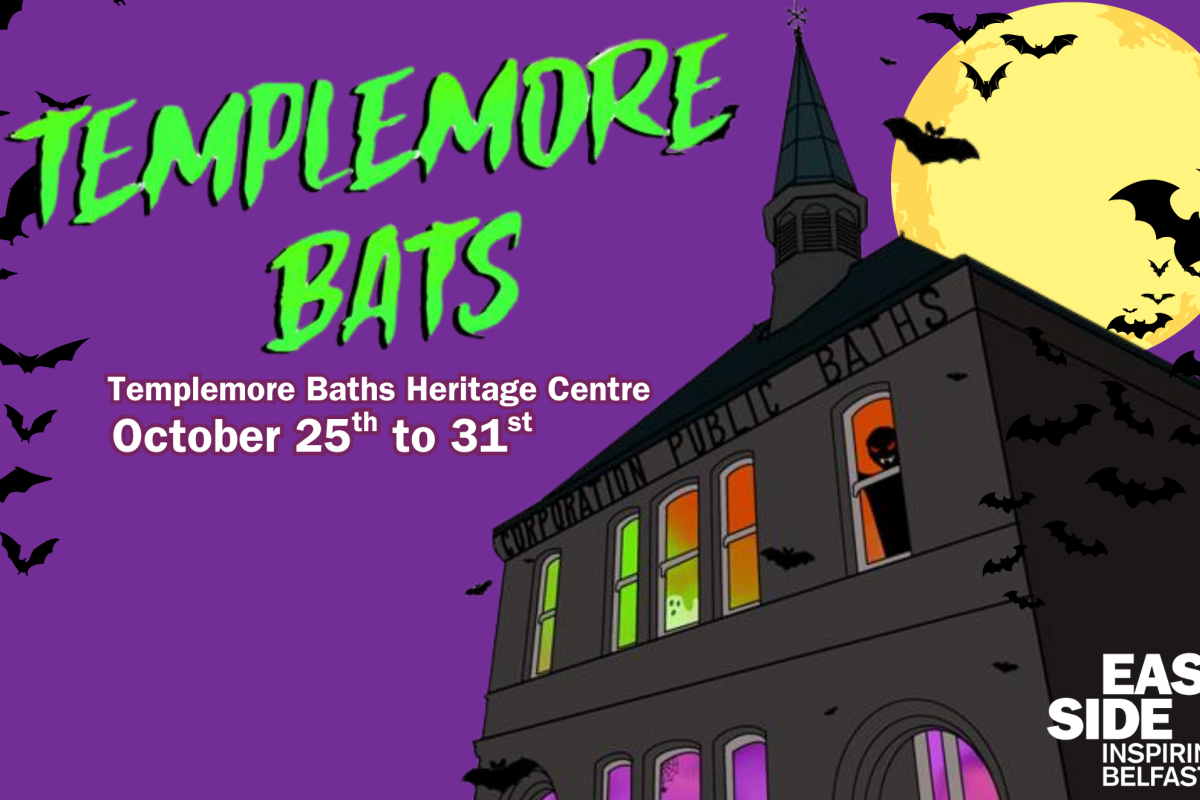 kids halloween trail at Templemore Bats